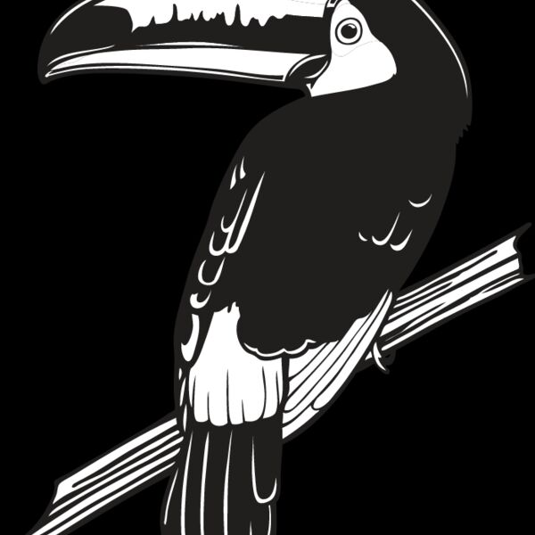 Toucan1 Thumbnail