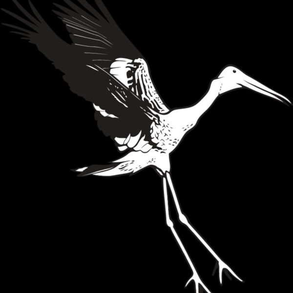 Stork Thumbnail