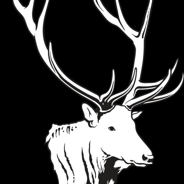 Elk1 Thumbnail