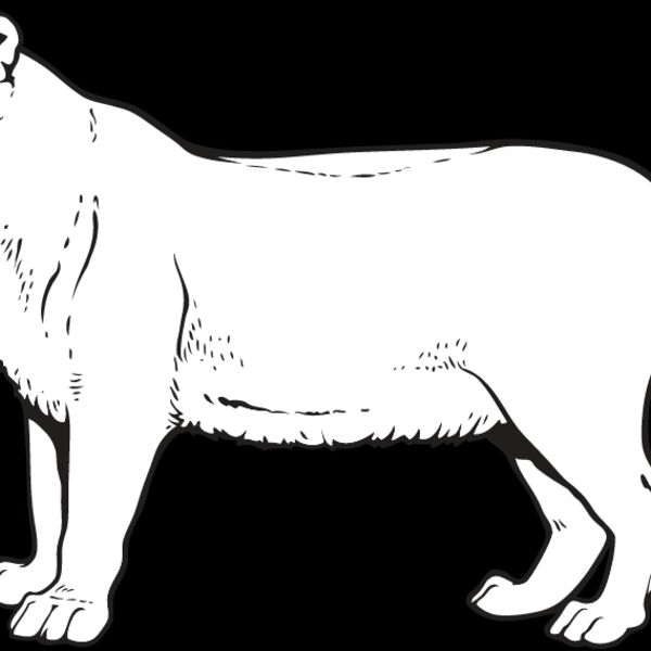 Lioness1 Thumbnail