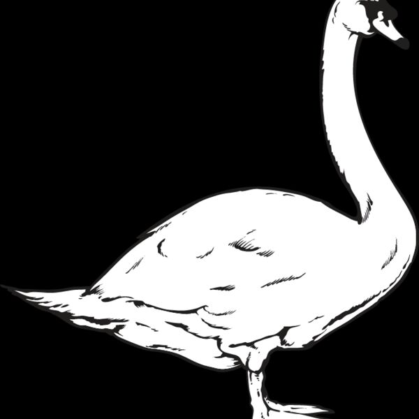 Swan1 Thumbnail