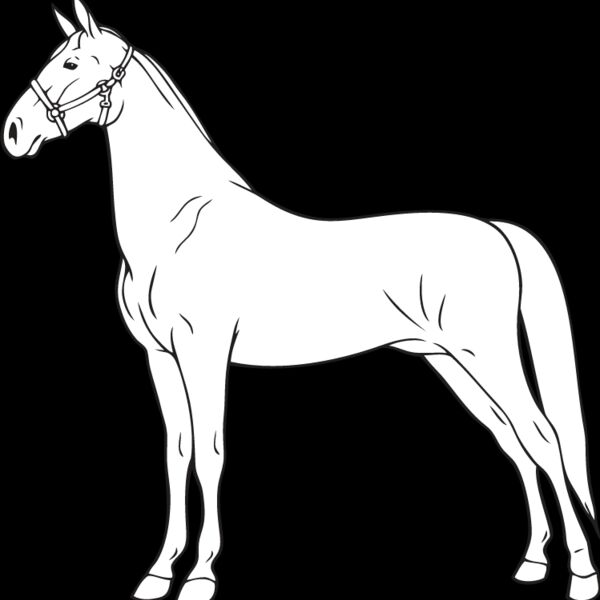 Horse3 Thumbnail