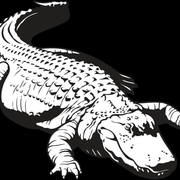 Alligator1 Thumbnail