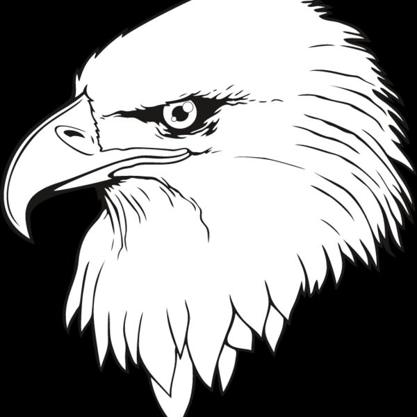 Eagle8 Thumbnail