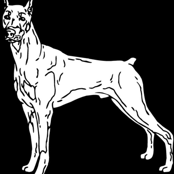 Doberman1 Thumbnail