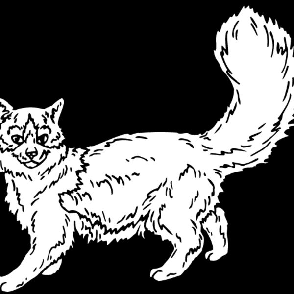 Cat23 Thumbnail