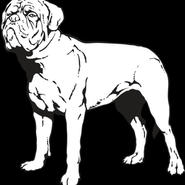 French Mastiff Thumbnail