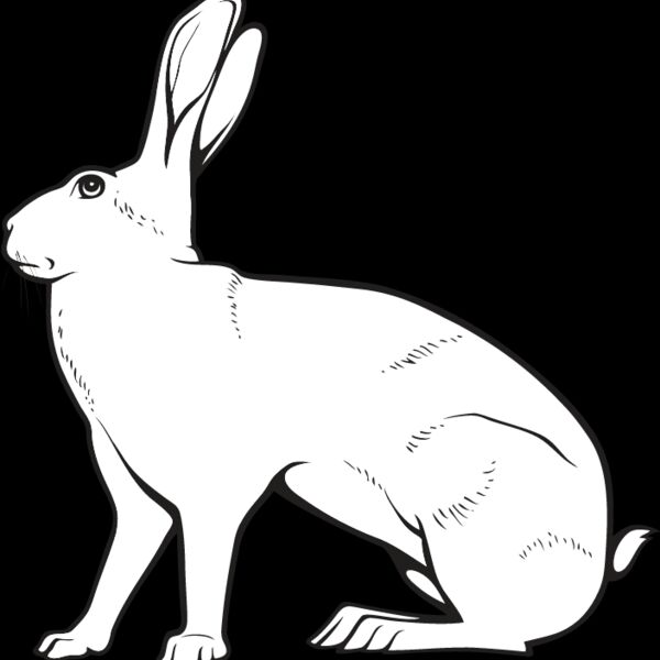 Rabbit5 Thumbnail