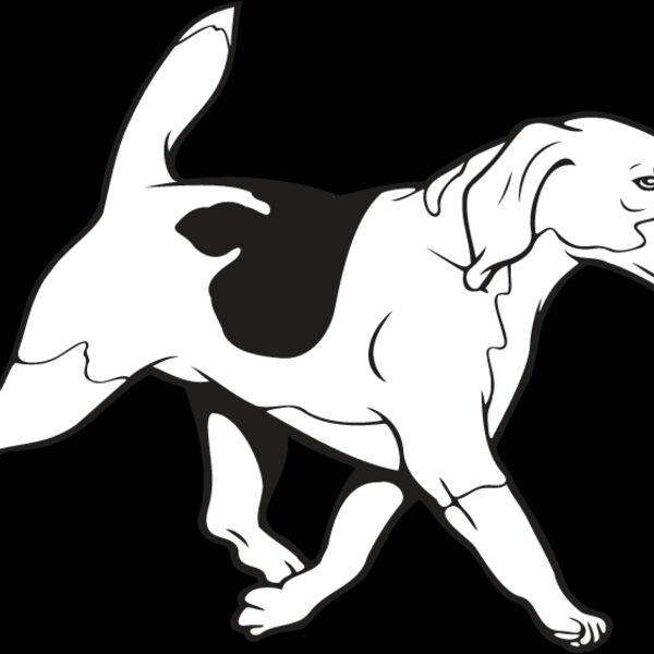 Beagle3 Thumbnail