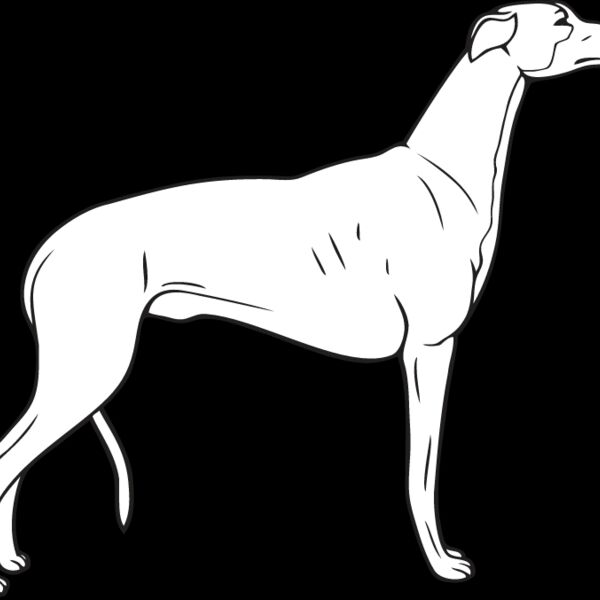 Greyhound2 Thumbnail