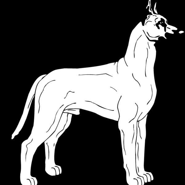 Great Dane1 Thumbnail