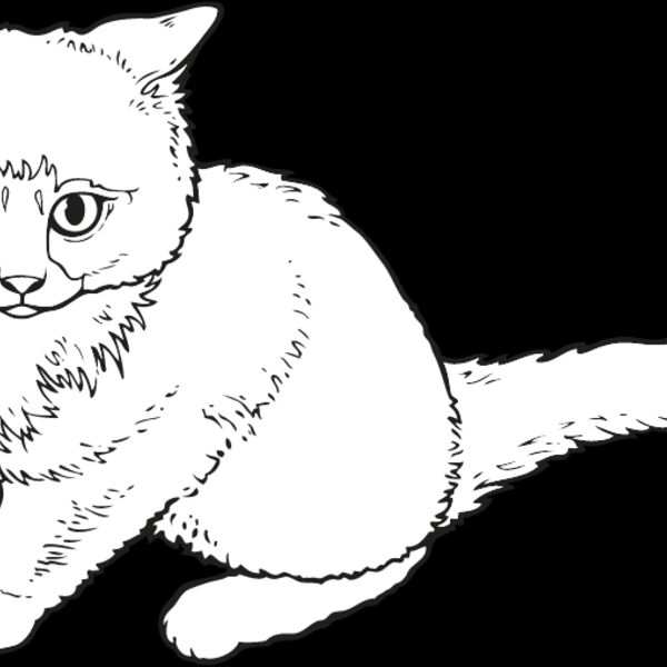Kitten2 Thumbnail