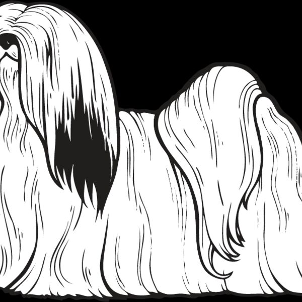 Lhasa Apso Thumbnail