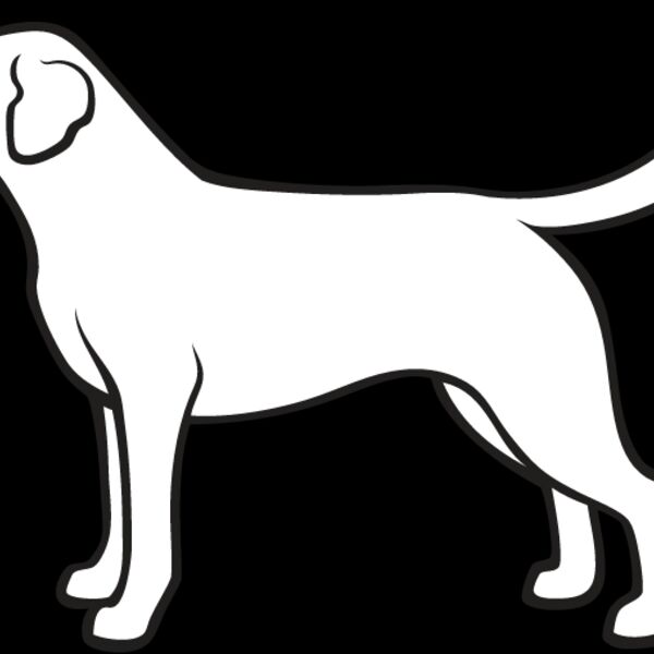 Labrador Retriever1 Thumbnail
