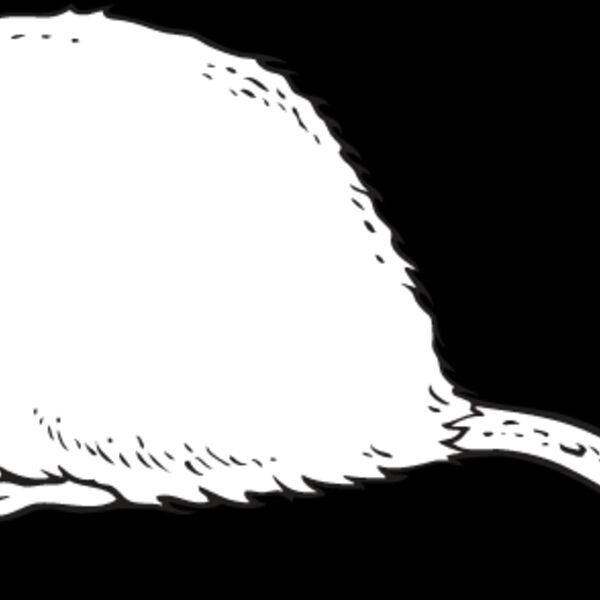 Rat Thumbnail