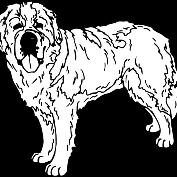 Saint Bernard Thumbnail