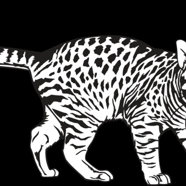 Cat26 Thumbnail