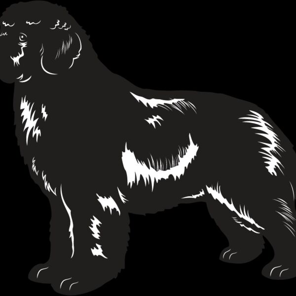 Newfoundland Thumbnail