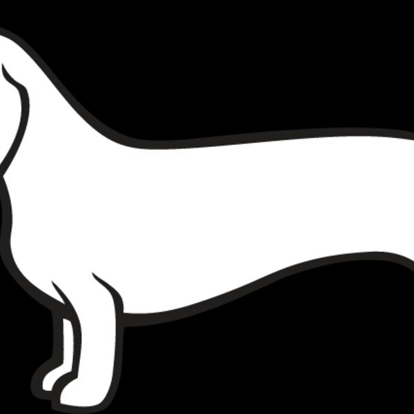 Dachshund4 Thumbnail