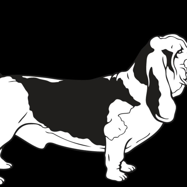 Basset Hound Thumbnail