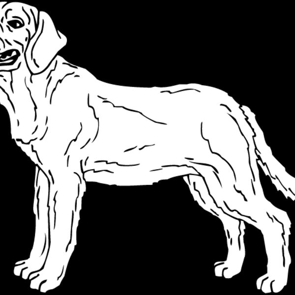 Labrador Retriever4 Thumbnail