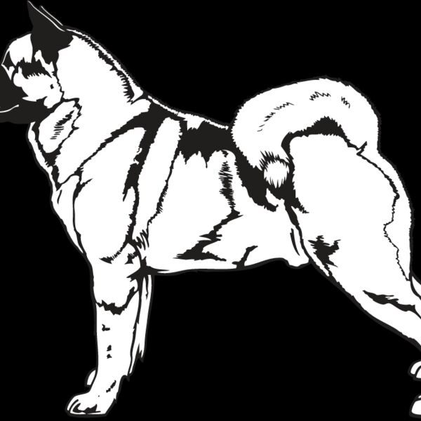 Akita2 Thumbnail