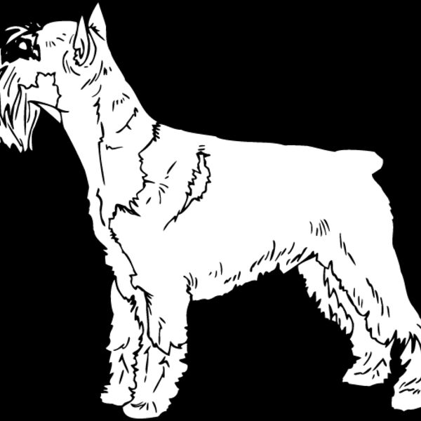 Standard Terrier Thumbnail