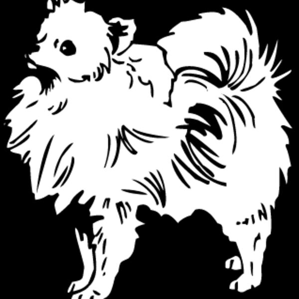 Pomeranian2 Thumbnail
