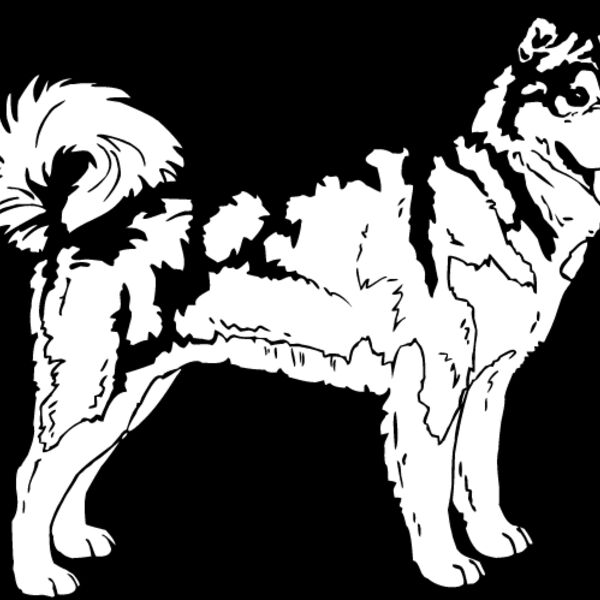 Malamute2 Thumbnail