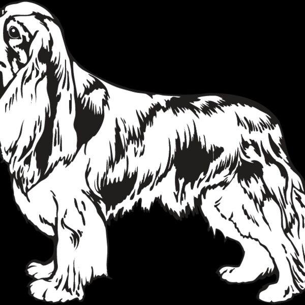 King Charles Spaniel2 Thumbnail