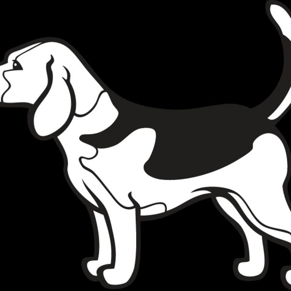 Beagle4 Thumbnail
