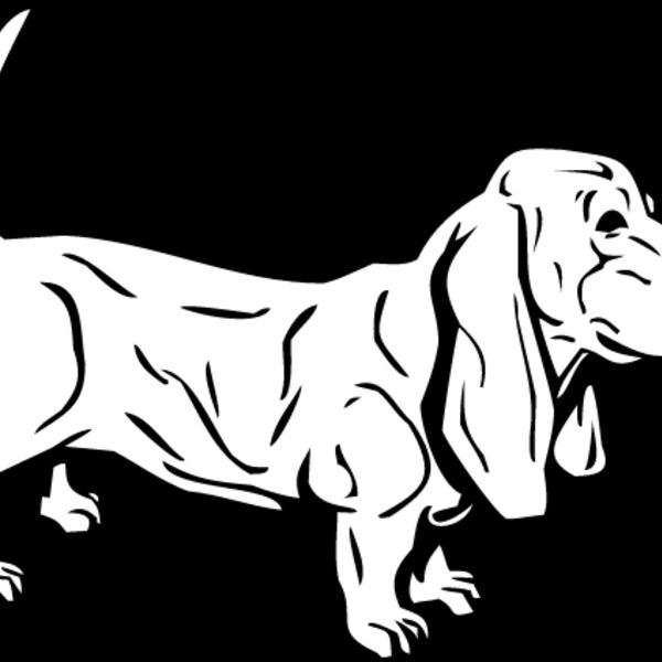 Dachshund5 Thumbnail
