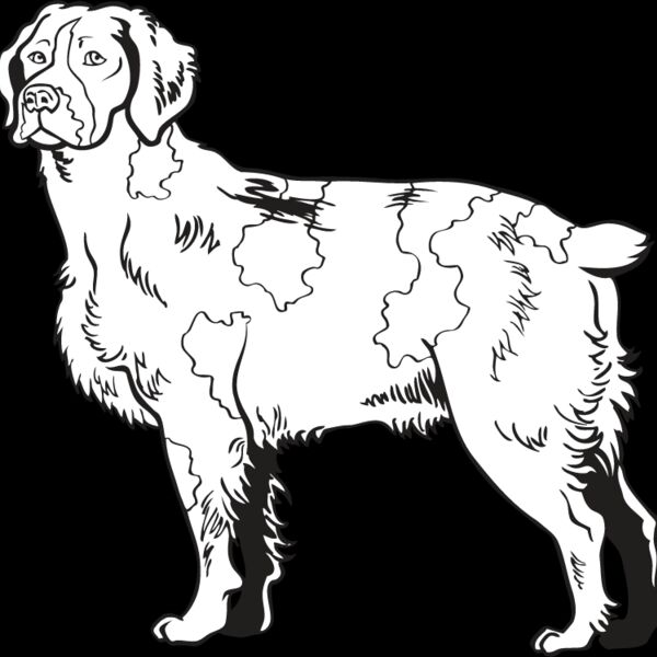 Brittany Spaniel2 Thumbnail