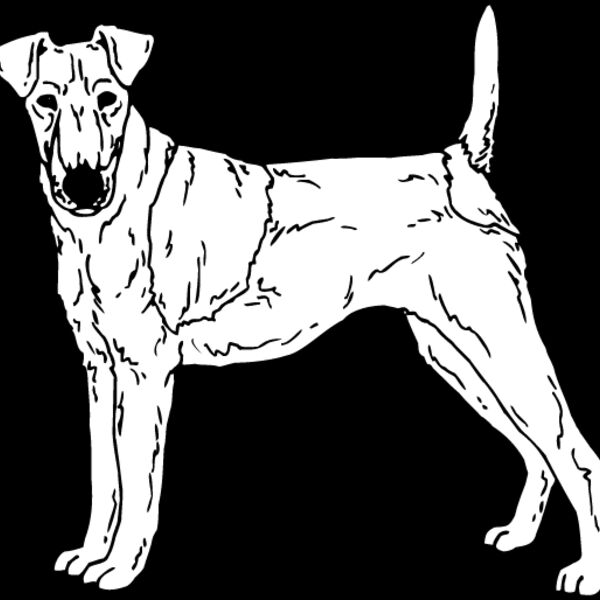Fox Terrier Thumbnail