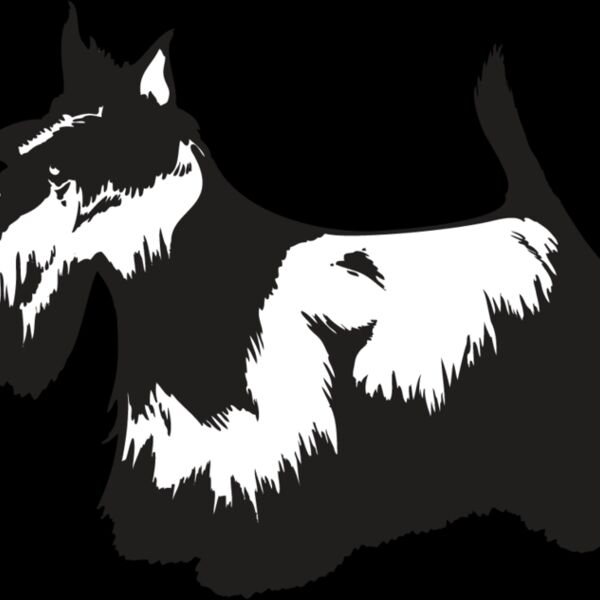 Scottish Terrier2 Thumbnail