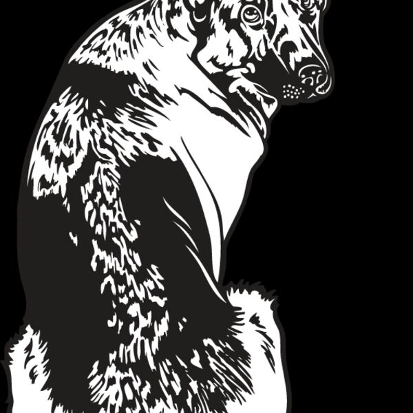 German Shepherd2 Thumbnail