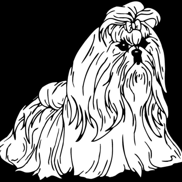 Shih Tzu2 Thumbnail