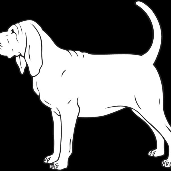 Bloodhound2 Thumbnail