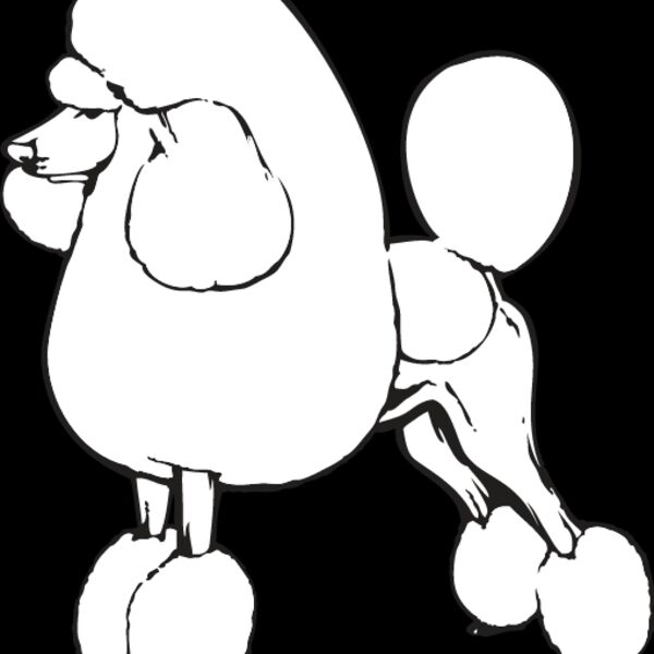 Poodle1 Thumbnail