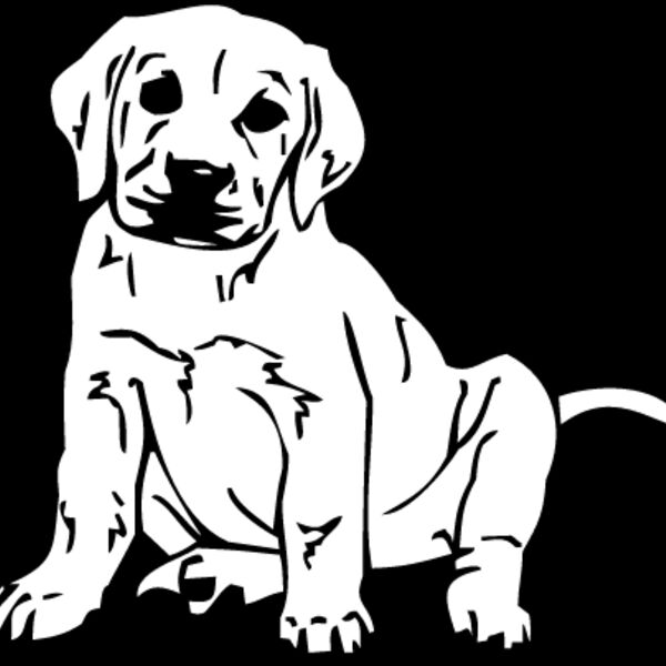 Labrador Puppy Thumbnail