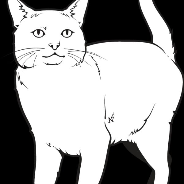 Cat19 Thumbnail