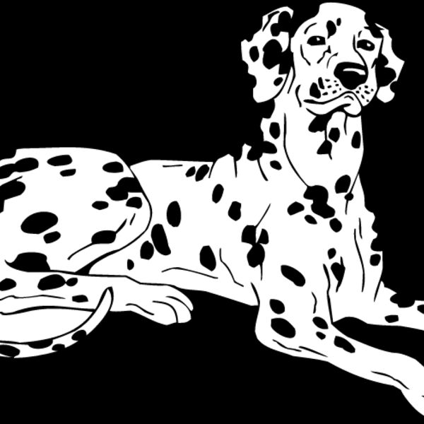 Dalmation2 Thumbnail