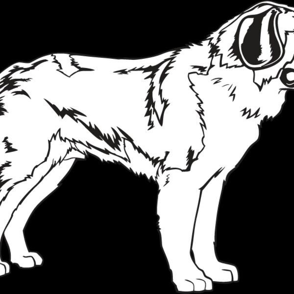St  Bernard Thumbnail