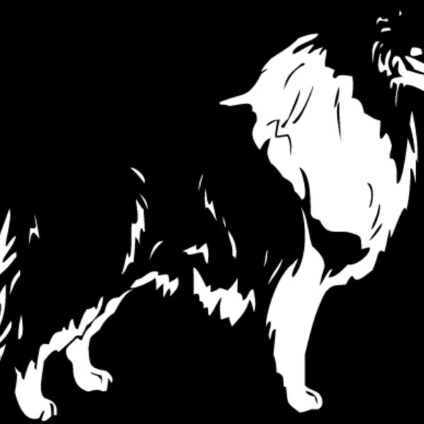 Collie1 Thumbnail