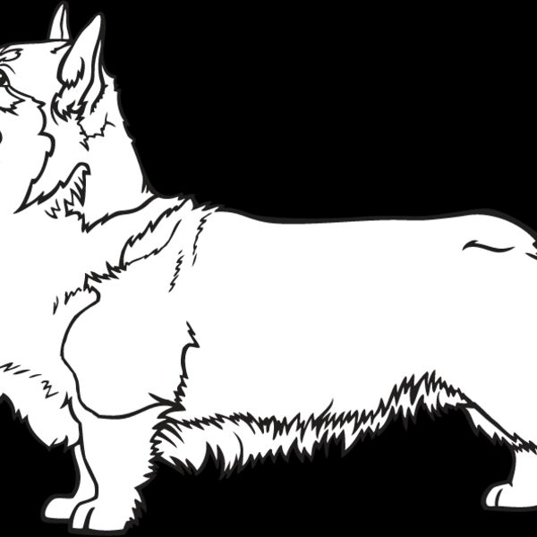 Corgi2 Thumbnail