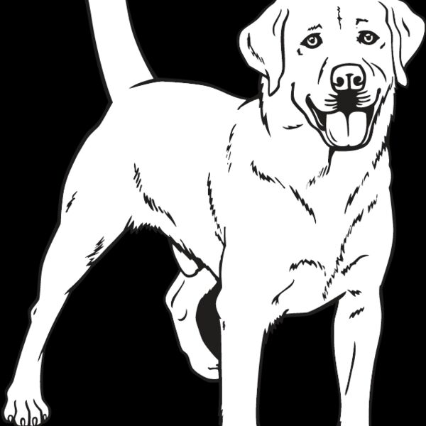 Labrador Retriever2 Thumbnail