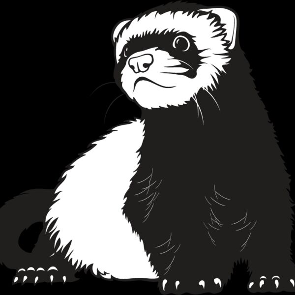 Ferret3 Thumbnail