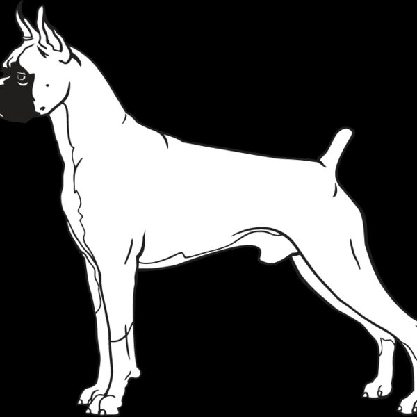 Boxer2 Thumbnail