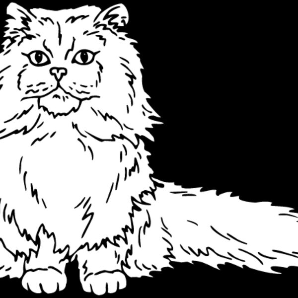 Cat39 Thumbnail