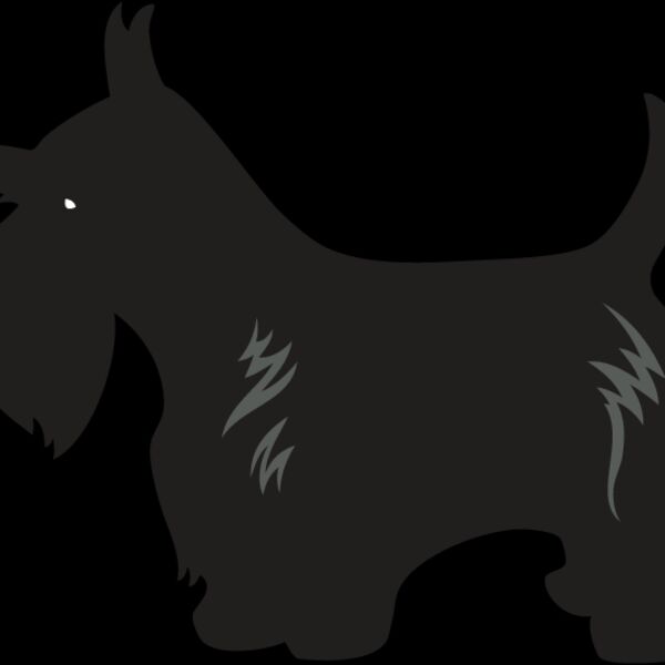 Scottish Terrier4 Thumbnail